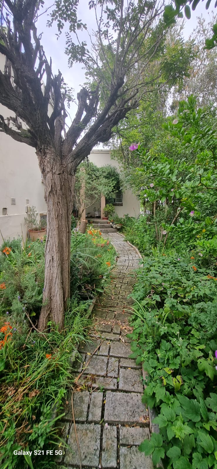 4 Bedroom Property for Sale in Somerset East Eastern Cape